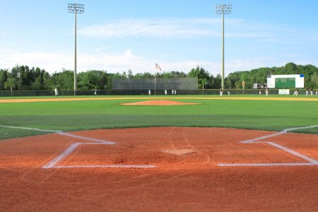 プロ野球のFA制度とは？国内・海外FAや大谷翔平選手が使ったポスティングシステムまで詳しく解説！｜移籍 NPB MLB 佐々木朗希  人的補償